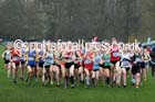 Women under-17s, British Athletics Liverpool Cross Challenge, Sefton Park, Liverpool. Photo: David T. Hewitson/Sports for All Pics